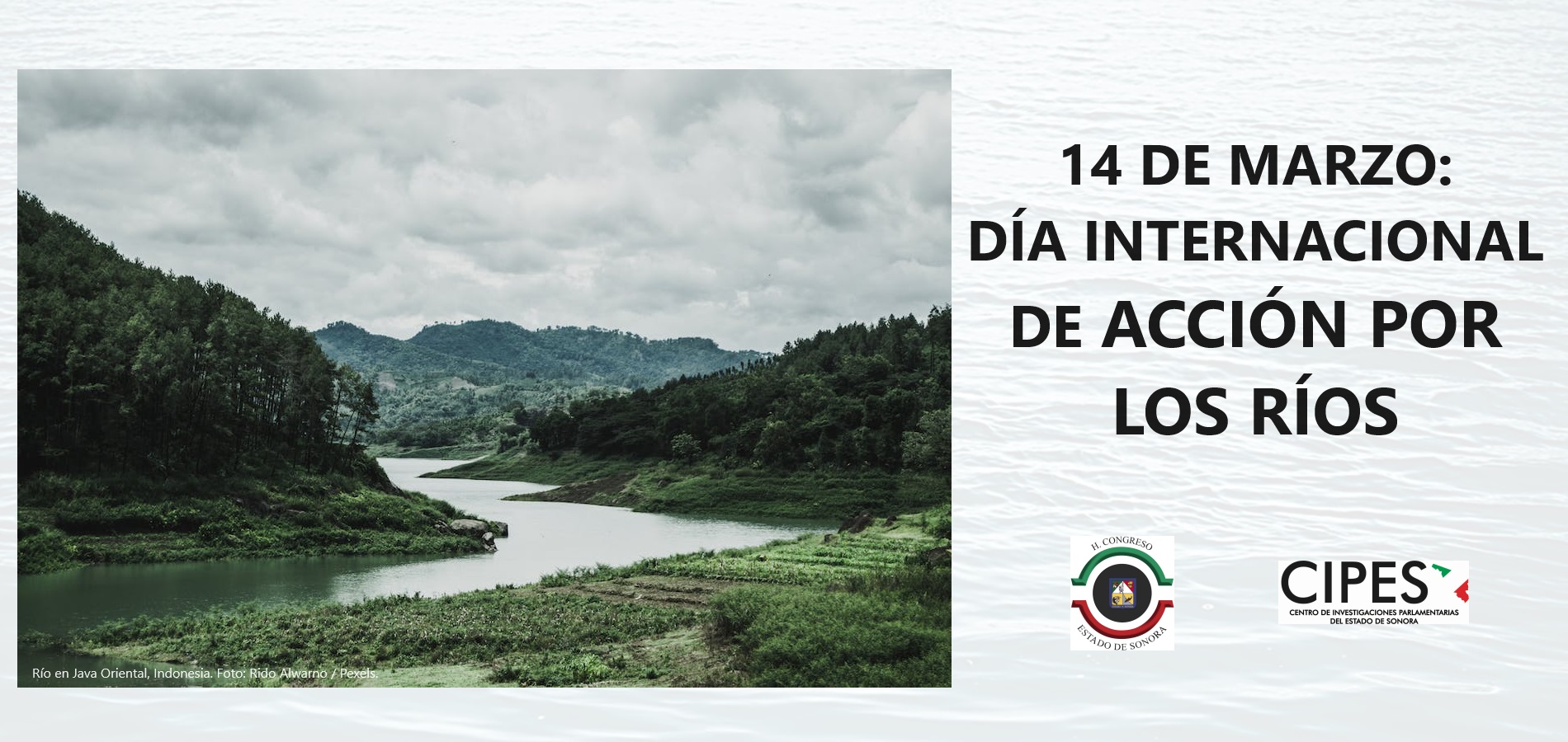 Imagen de DÍA INTERNACIONAL DE ACCIÓN POR LOS RÍOS