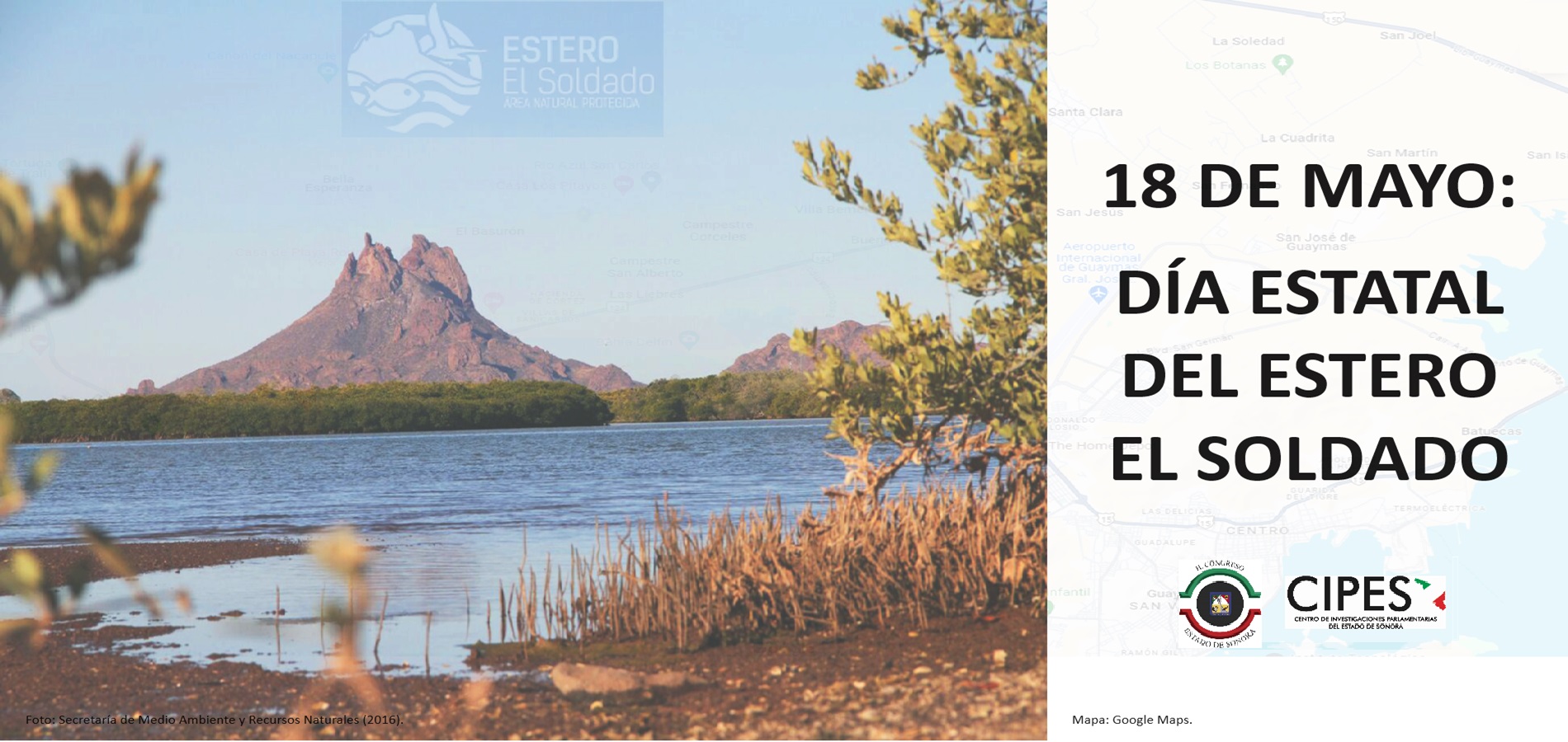 Imagen de DÍA ESTATAL DEL ESTERO EL SOLDADO