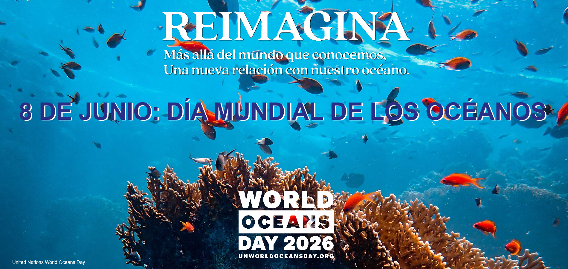 Imagen de DÍA MUNDIAL DE LOS OCÉANOS