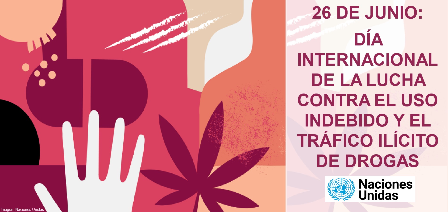 Imagen de DÍA INTERNACIONAL DE LA LUCHA CONTRA EL USO INDEBIDO Y EL TRÁFICO ILÍCITO DE DROGAS