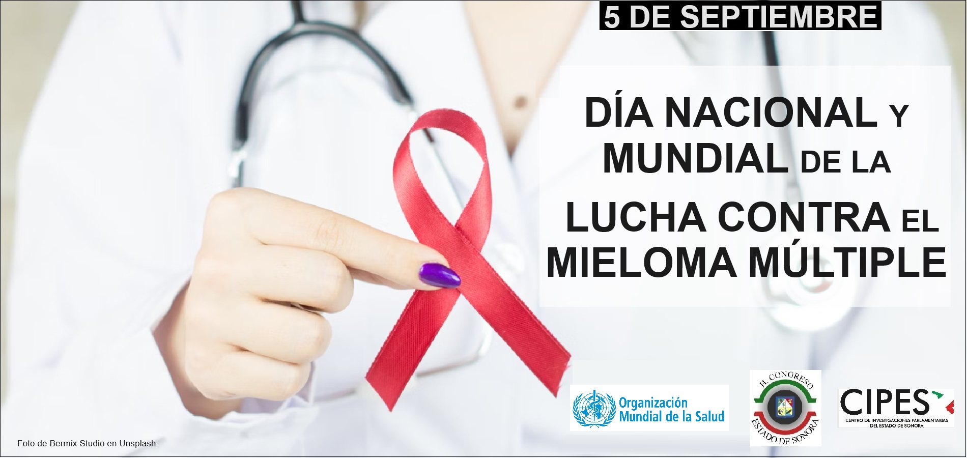 Imagen de DÍA NACIONAL Y MUNDIAL DE LA LUCHA
CONTRA EL MIELOMA MÚLTIPLE