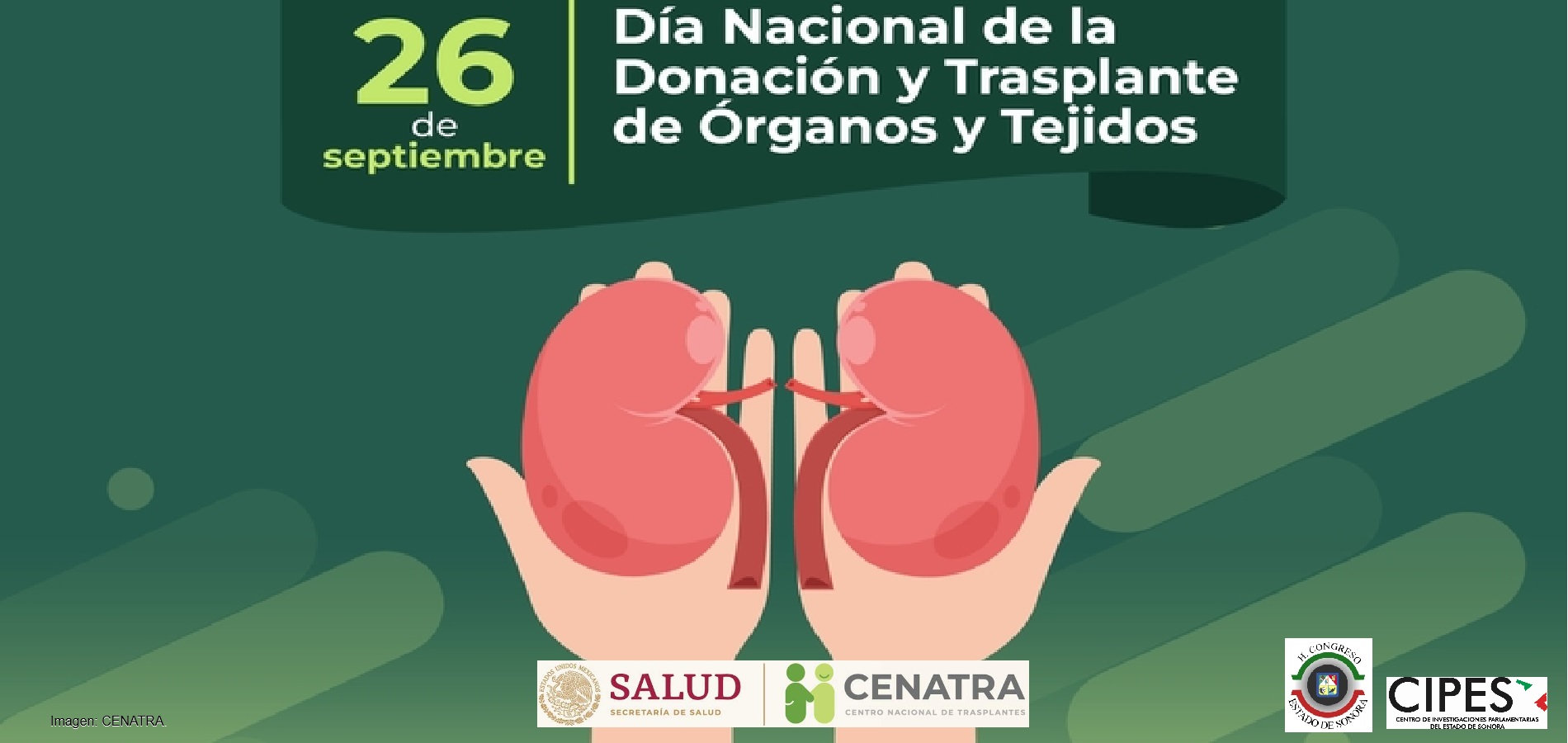 Imagen de DÍA NACIONAL DE LA DONACIÓN Y TRASPLANTE DE ÓRGANOS Y TEJIDOS