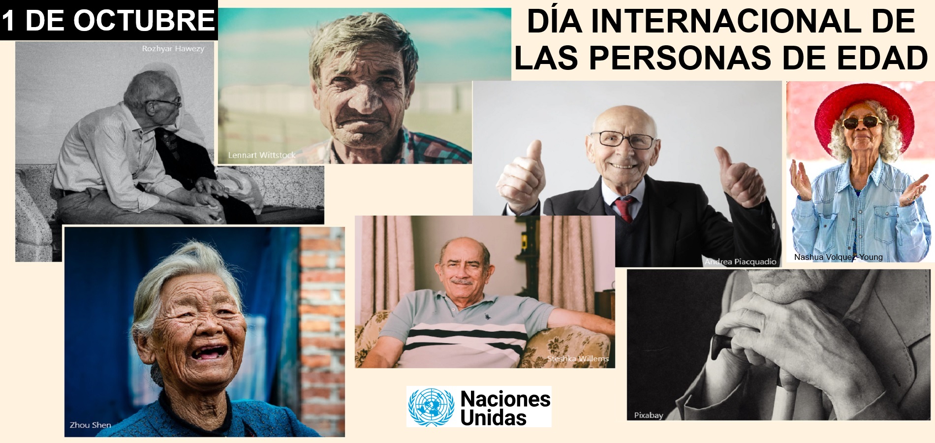 Imagen de DÍA INTERNACIONAL DE LAS PERSONAS DE EDAD