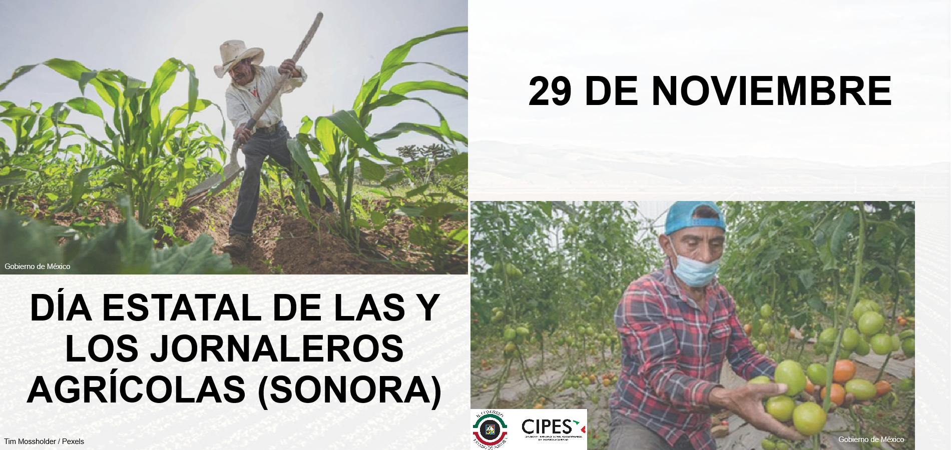 Imagen de DÍA ESTATAL DE LAS Y LOS JORNALEROS AGRÍCOLAS (SONORA)